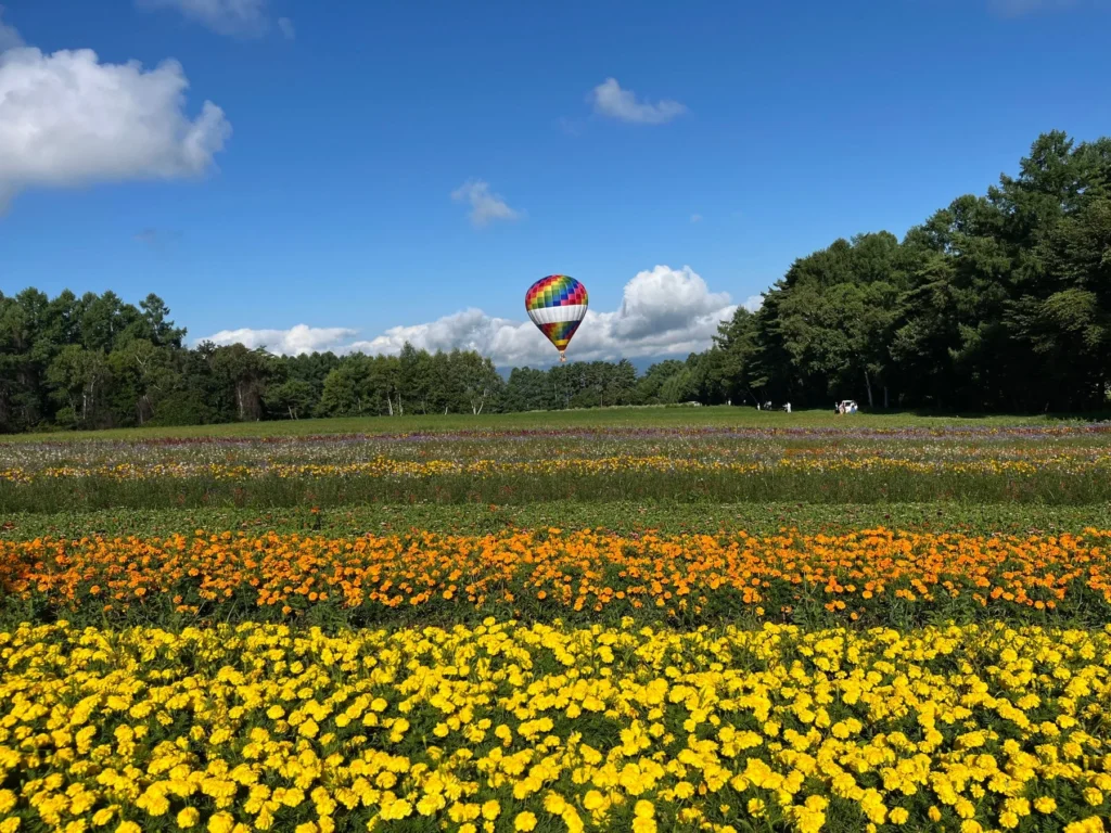 10haの花畑と八ヶ岳の絶景を空から！「花畑気球体験」が9月22日・23日限定で開催