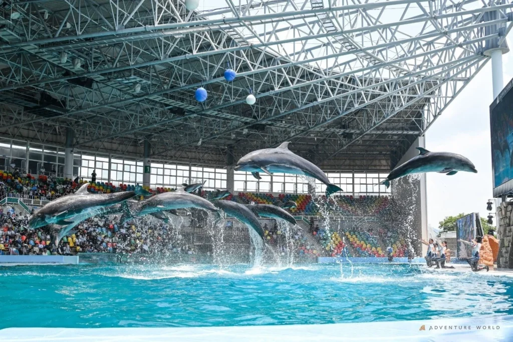 家族の思い出を育む「アドベンチャーワールド」1日入園券プレゼント！「いこーよ」が応援プロジェクト