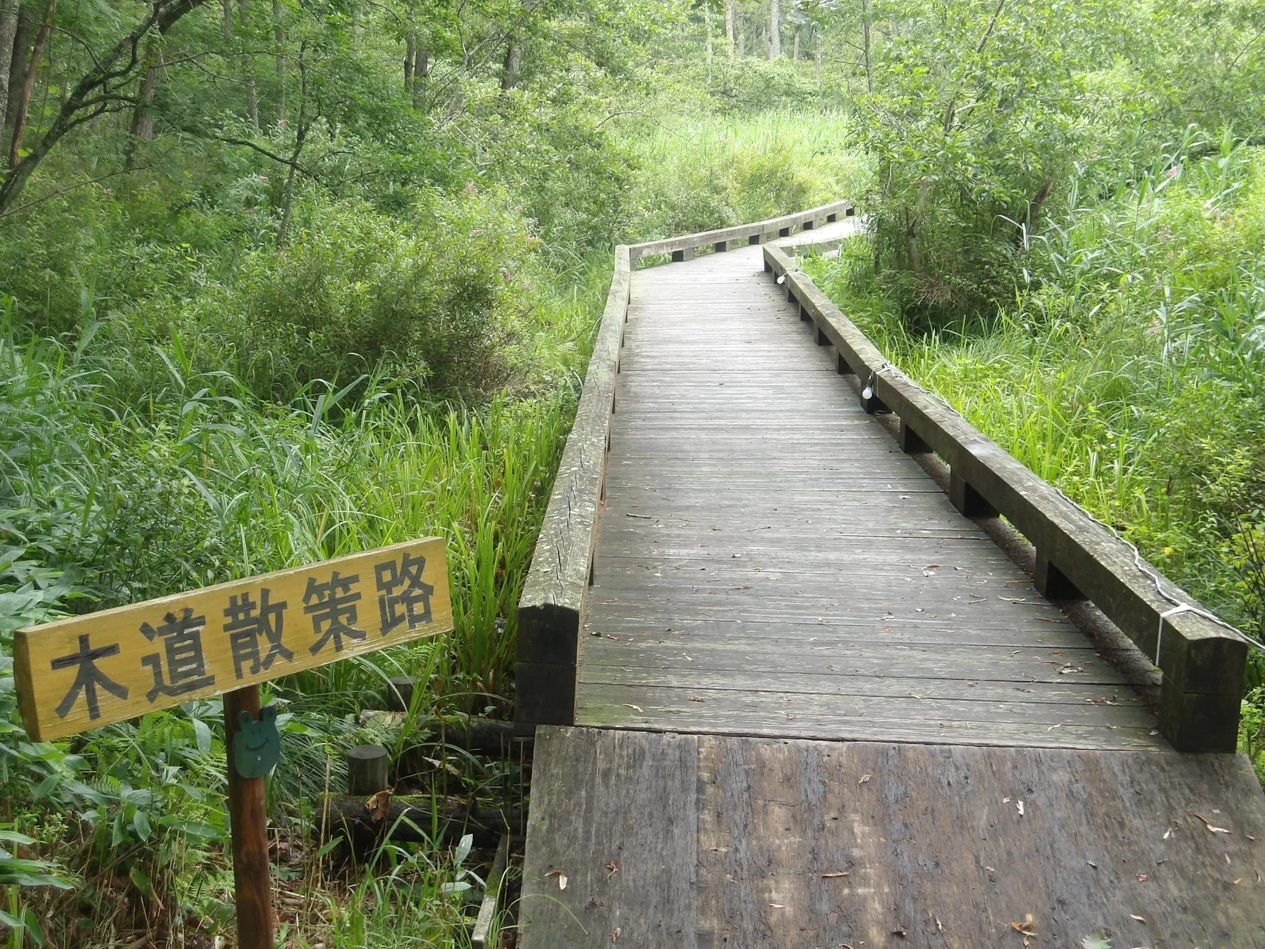 木道散策路