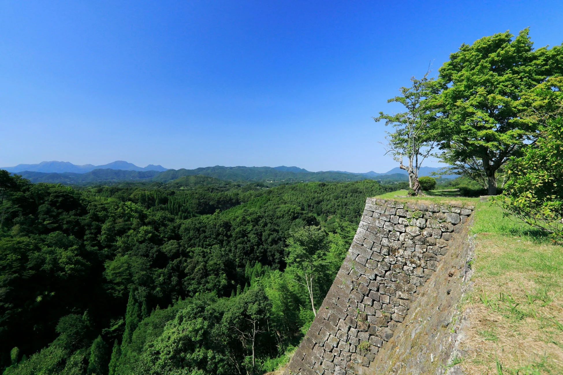 緑豊かな森と石垣が残る岡城跡