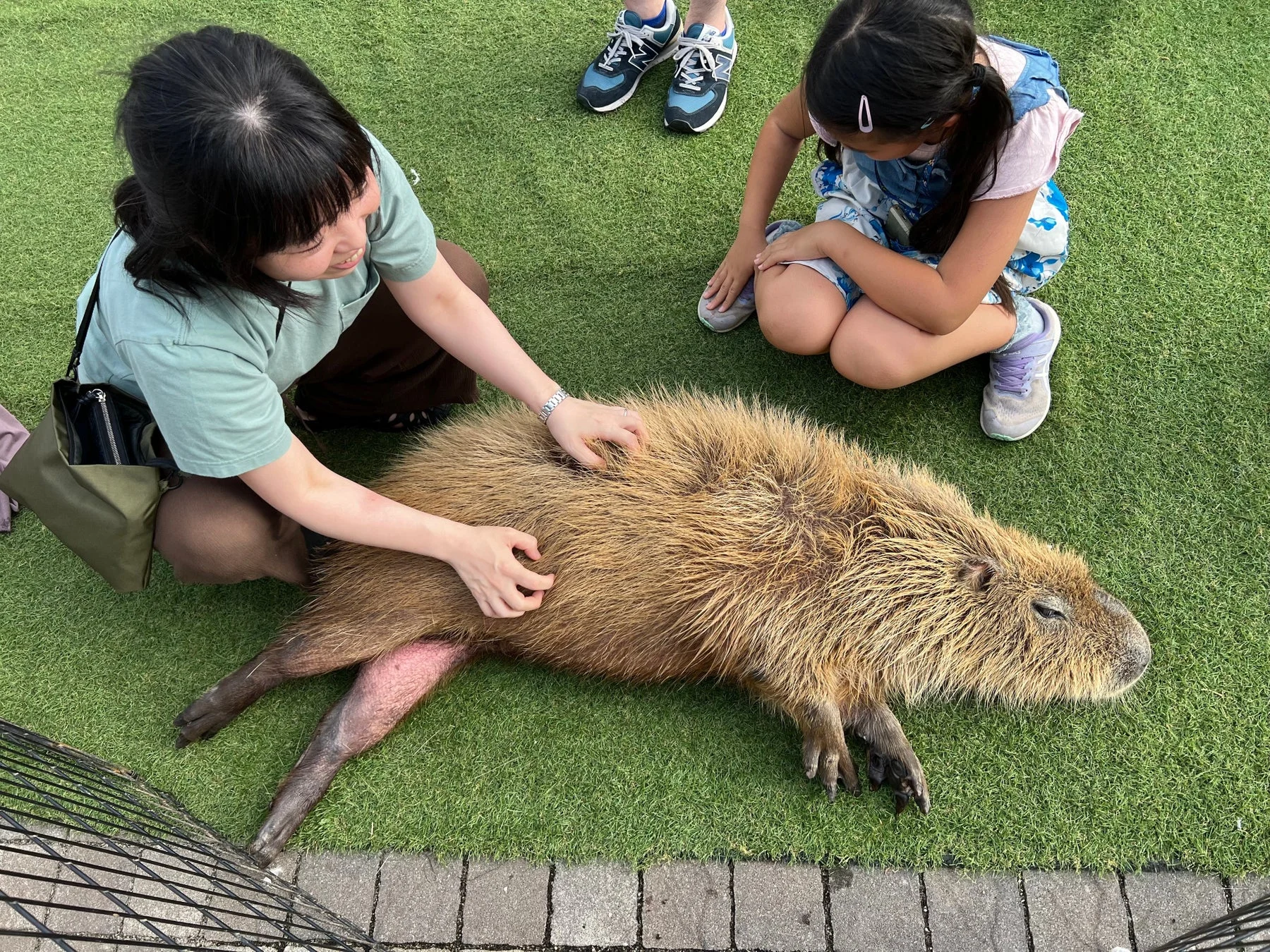 カピバラと触れ合う女性と子供