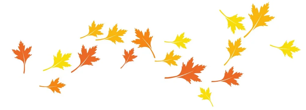 秋のイメージ(紅葉)