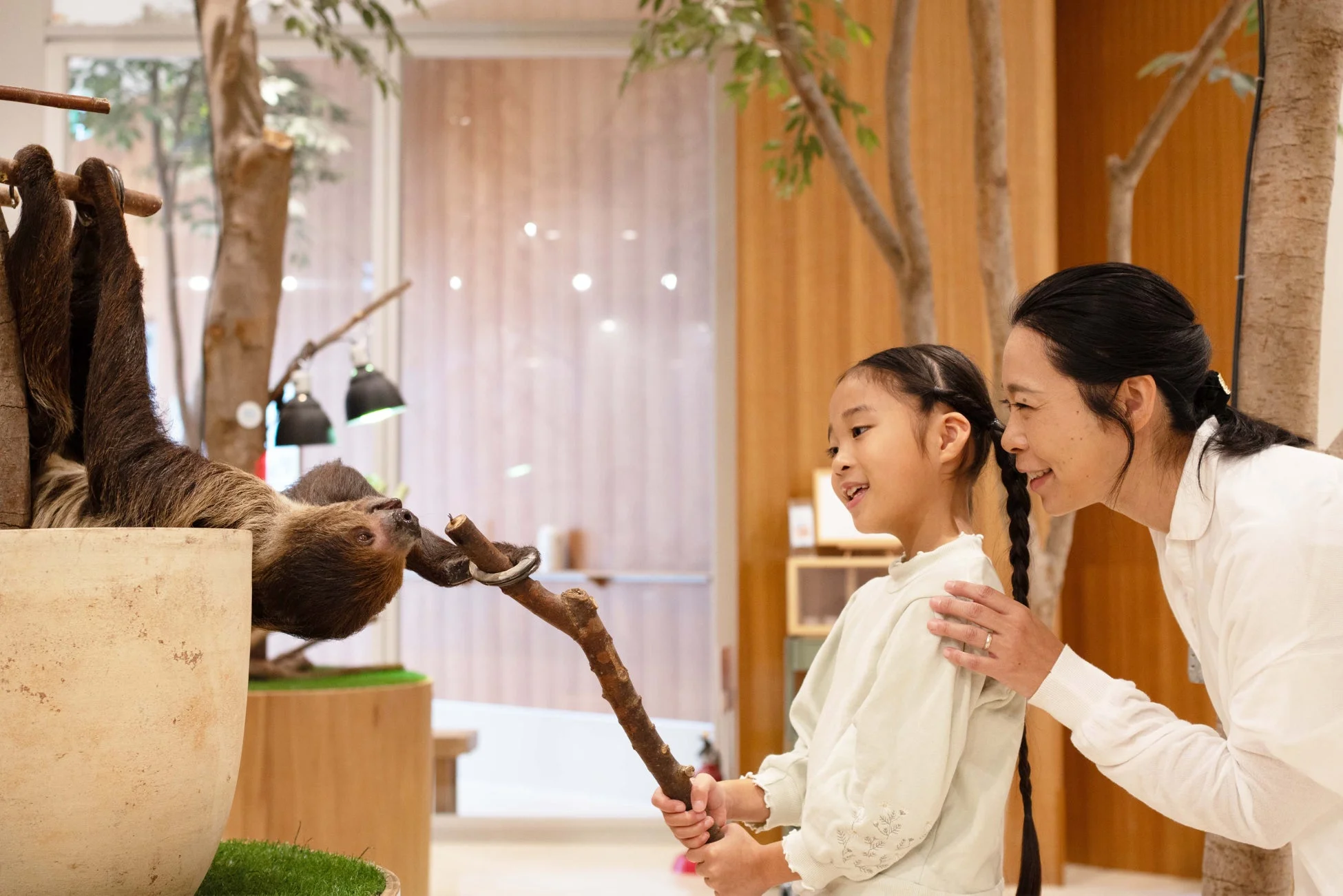 ナマケモノと触れ合う様子