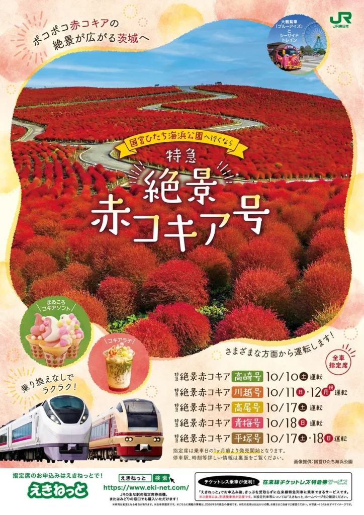 2026年秋、特急「絶景赤コキア号」で国営ひたち海浜公園へ！コキアと秋の味覚を満喫する旅