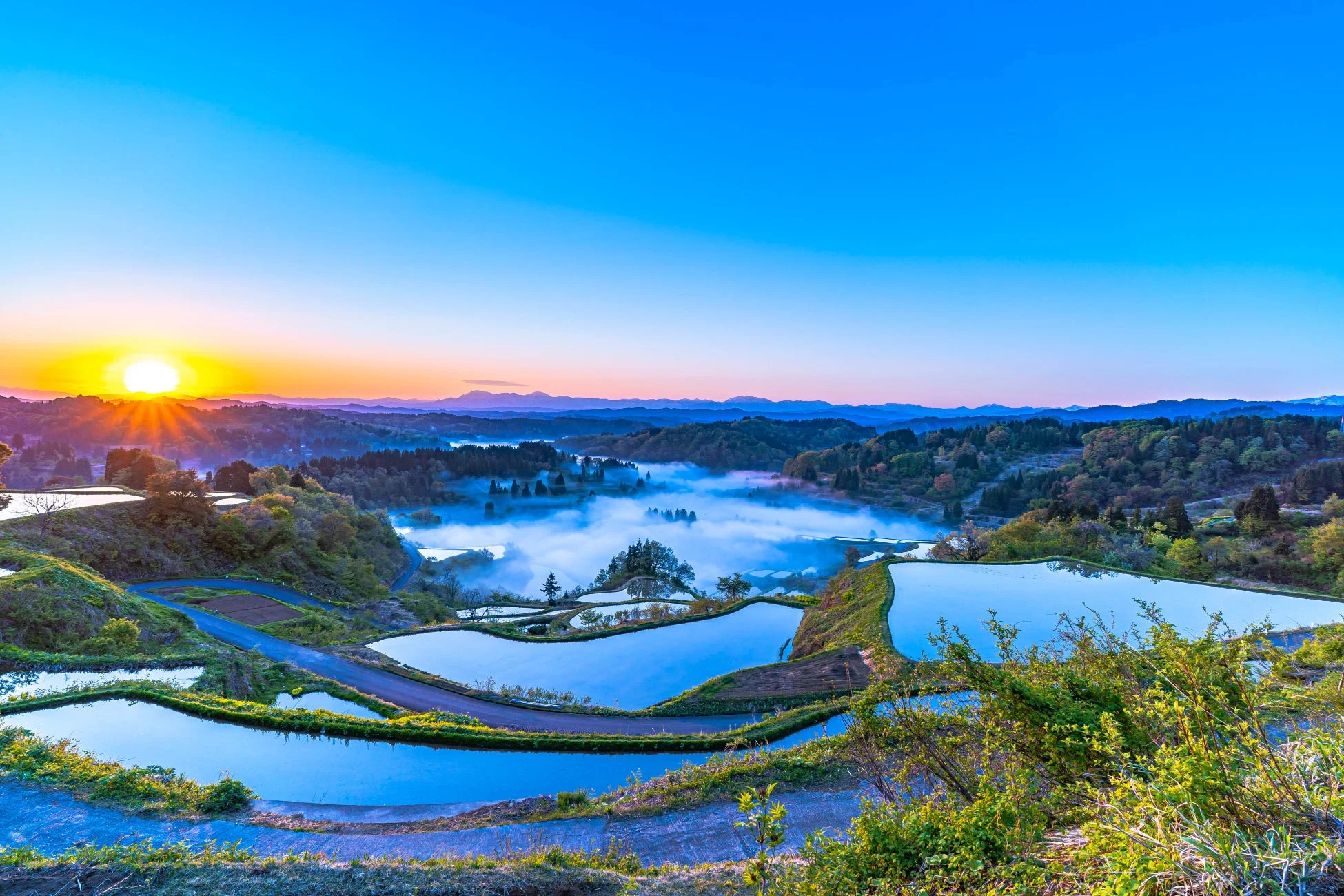 棚田の風景