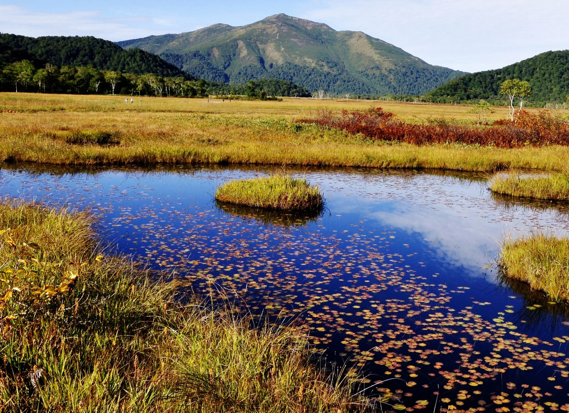 群馬県片品村の湿原と紅葉