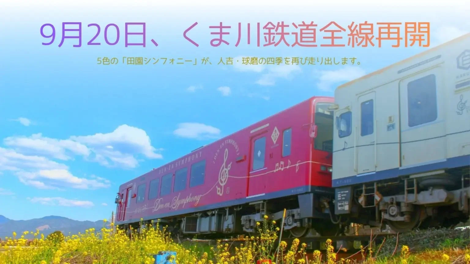 くま川鉄道の列車が菜の花畑を走る様子