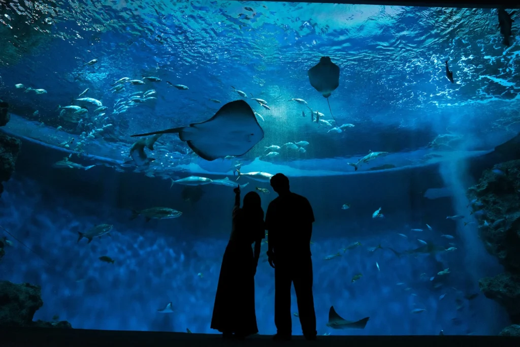神戸須磨シーワールド、シルバーウィークに夜の水族館イベント「ナイトアクアライブ」と「ドルフィンナイトパフォーマンス」を開催！