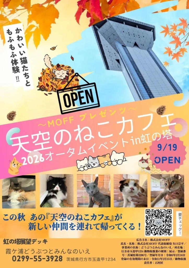 【期間限定】空の上で猫とふれあう癒しの空間!『天空のねこカフェ』第2弾が2026年9月19日(土)よりオープン!