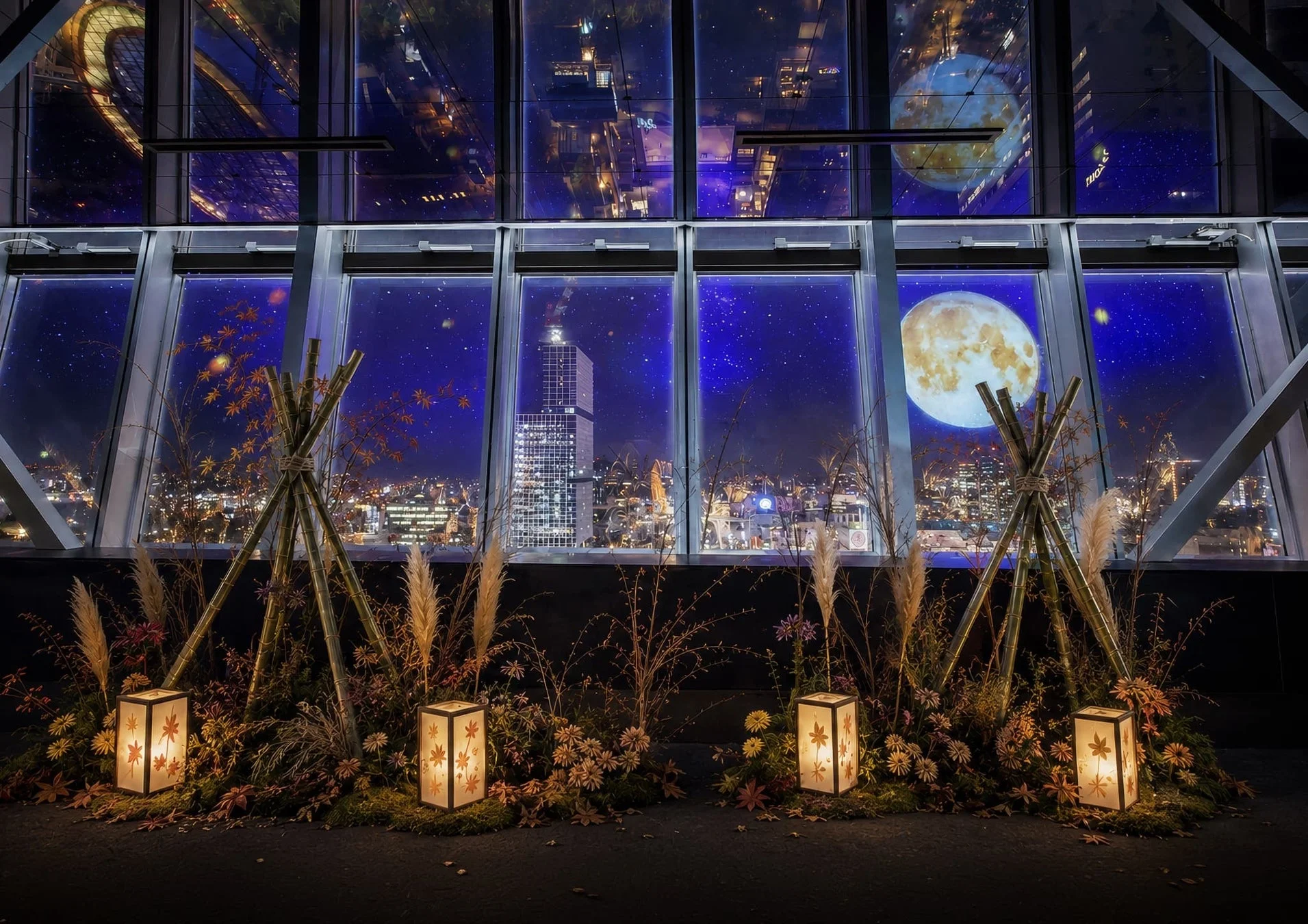 夜景と月、ススキの展示イメージ