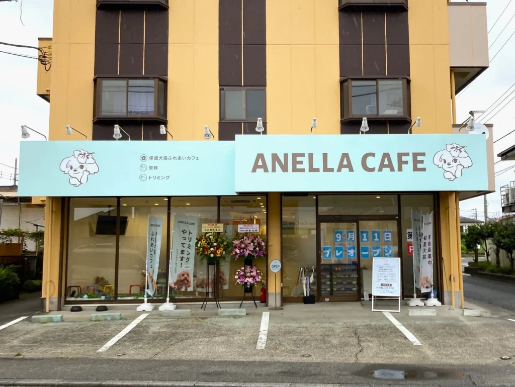 保護犬猫カフェ「ANELLA CAFE 相模原橋本店」が9月11日オープン！多世代が行き交う橋本に人と動物の“やさしい循環”を