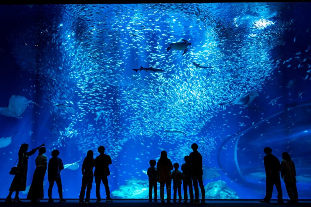 【JAF茨城】ランタンを手に巡る、夜のアクアワールド茨城県大洗水族館 初の貸切イベントを11月22日に開催