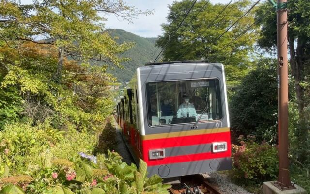 【BS日テレ】「妄想トレイン」が選ぶ!日帰り紅葉旅3選! 高尾山、箱根、1位は? 礼二「どれが1位でもいい」『友近・礼二の妄想トレイン』10月27日(火)よる9時放送