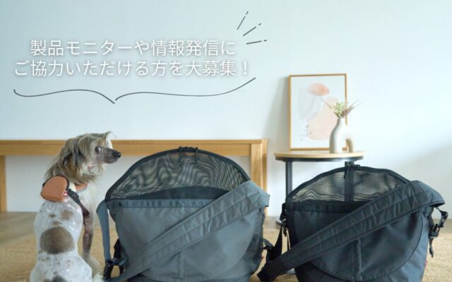 もっと気軽に安全に、ペットと自転車でお出かけ! ペットブランド「buddiQ(バディック)」公式アンバサダー募集開始
