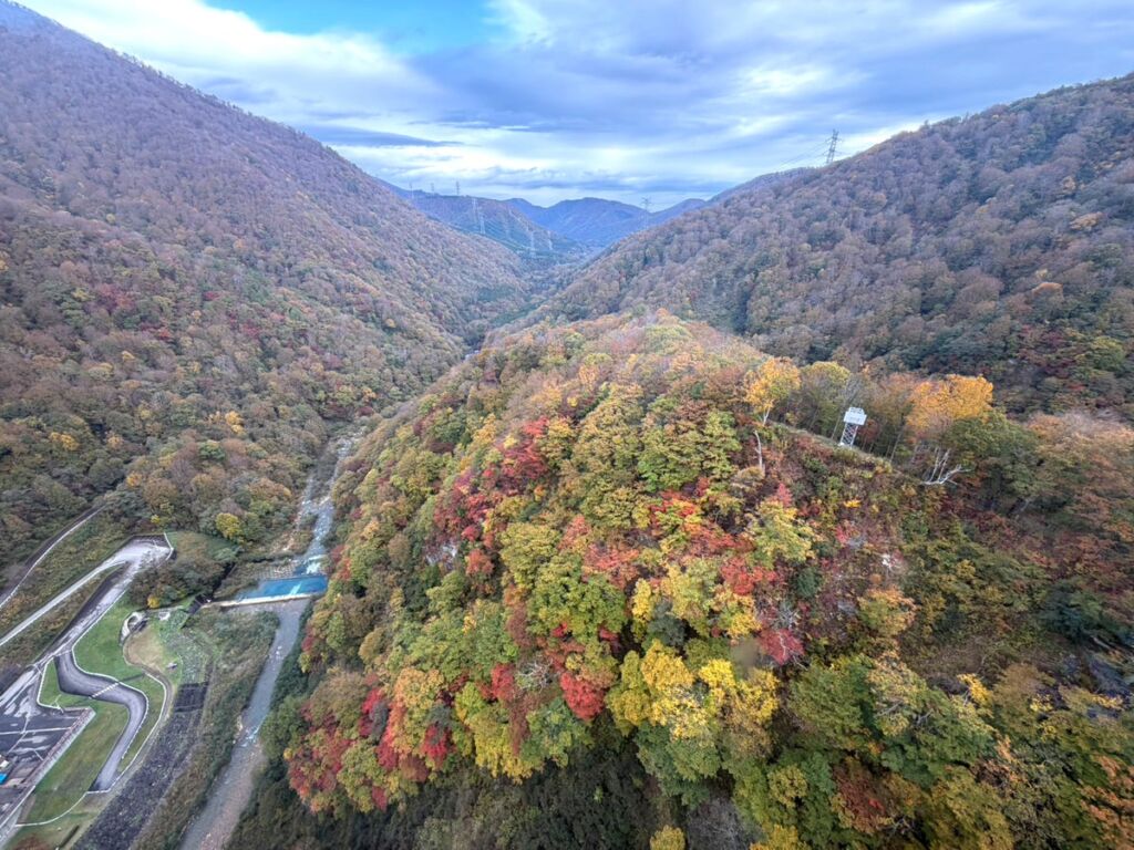 苗場ドラゴンドラと田代ロープウェー、紅葉が見頃ピークに　2つの「日本一」を秋景色とともに