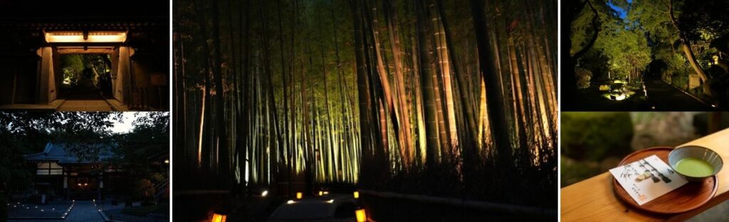 名刹・報国寺と鎌倉のホテルが連携、「報国寺 夜間特別拝観」を11月より共同開催