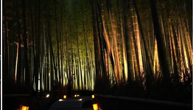名刹・報国寺と鎌倉のホテルが連携、「報国寺 夜間特別拝観」を11月より共同開催