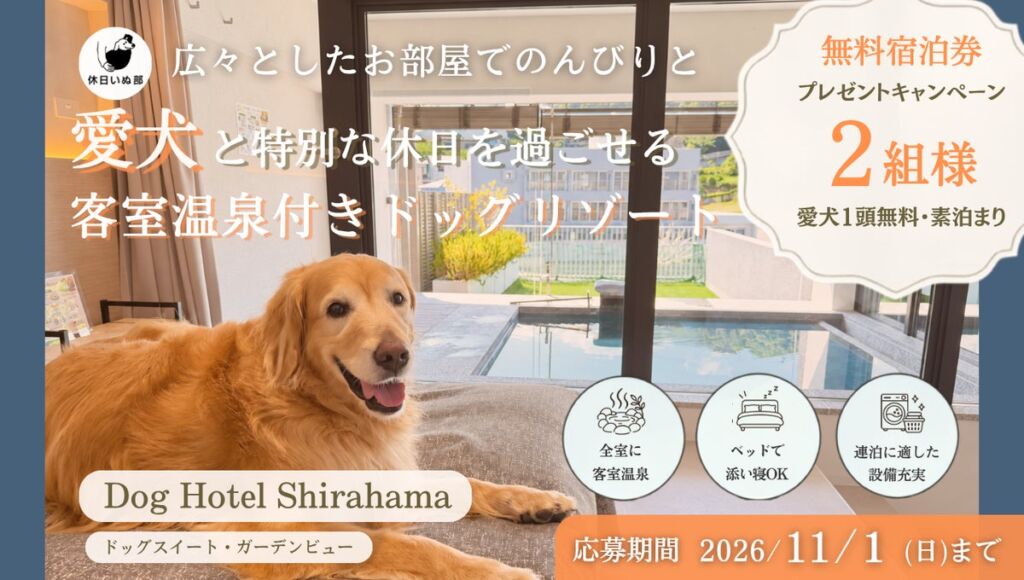 愛犬と南紀白浜のドッグリゾートへ。「Dog Hotel Shirahama」の無料宿泊券が抽選で2組に当たる