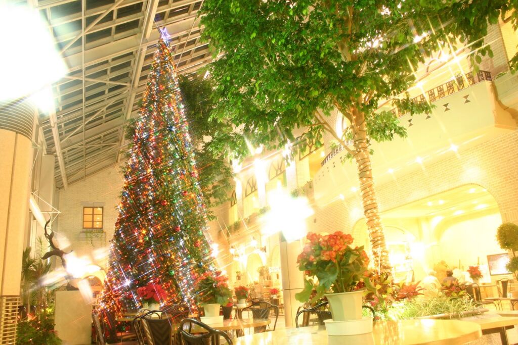 ハロウィン前にクリスマスの灯り。淡路ハイウェイオアシスで高さ9ｍ、淡路島内最大級のツリーが10月28日(水)点灯