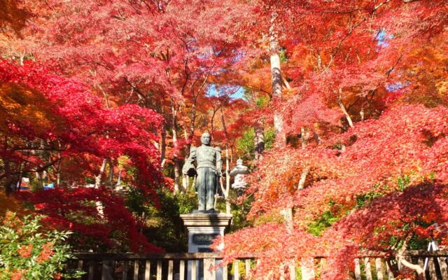 飯能の紅葉名所「東郷公園」へ、休暇村奥武蔵が宿泊者向けに期間限定の送迎バスを運行