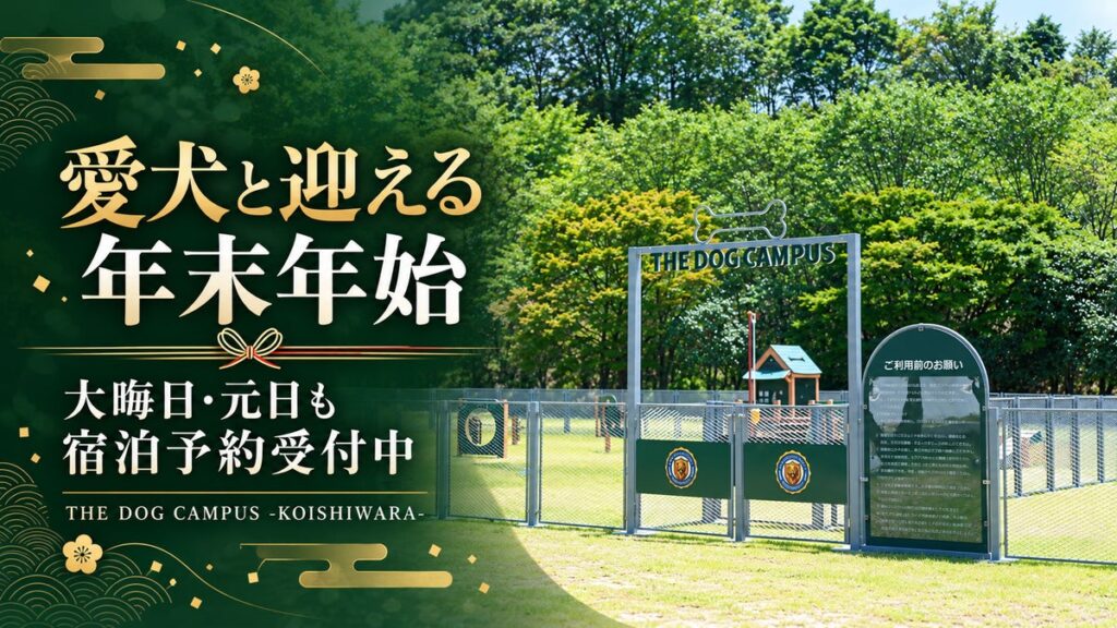 【福岡・東峰村】愛犬と過ごす年末年始に「THE DOG CAMPUS -KOISHIWARA-」、大晦日・元日を含む宿泊予約を受付中